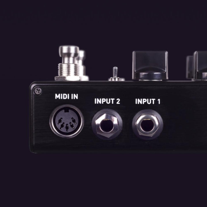 Source Audio Encounter Ambient Delay + Reverb 12