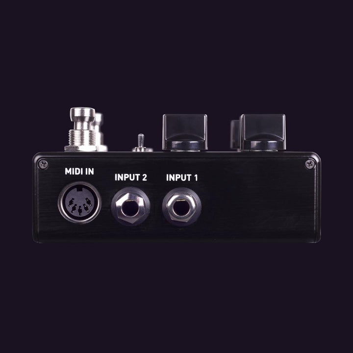Source Audio Encounter Ambient Delay + Reverb 13