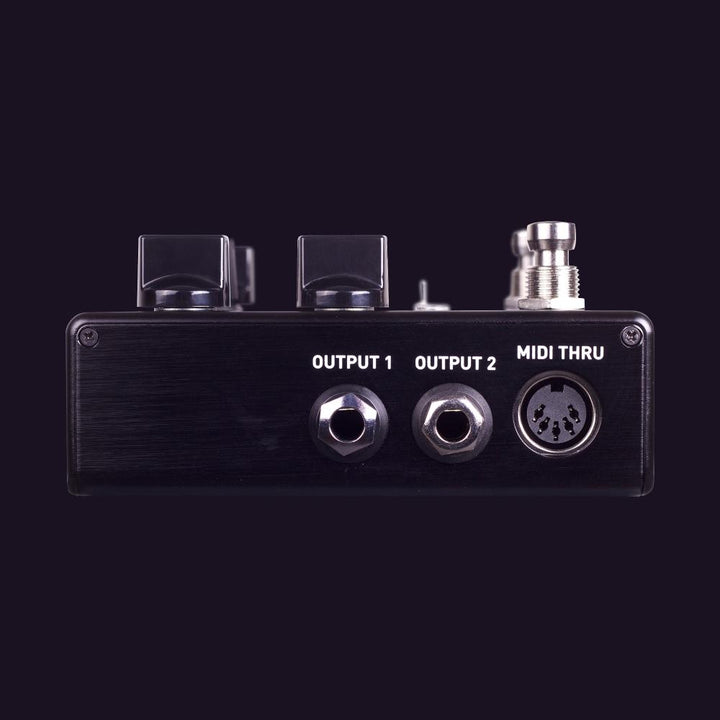 Source Audio Encounter Ambient Delay + Reverb 14