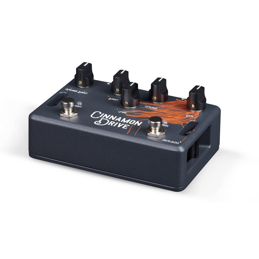 Aclam Guitar Cinnamon Drive  1