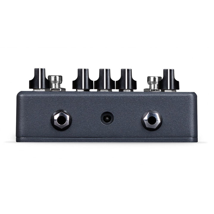 Aclam Guitar Cinnamon Drive  2