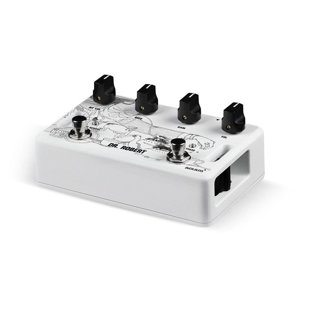 Aclam Guitar Dr. Robert  1