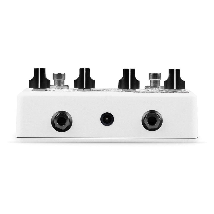 Aclam Guitar Dr. Robert  2