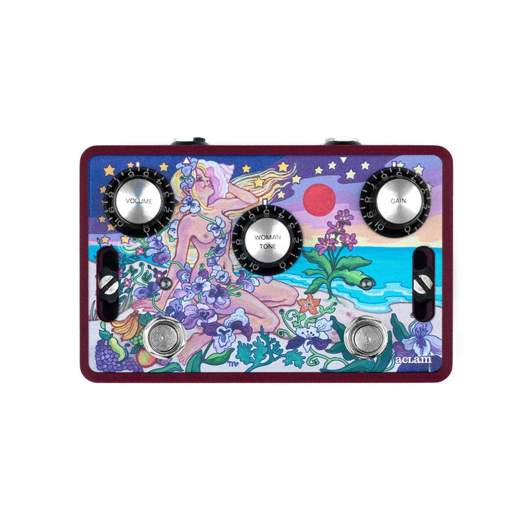 Aclam Guitar The Woman Tone 