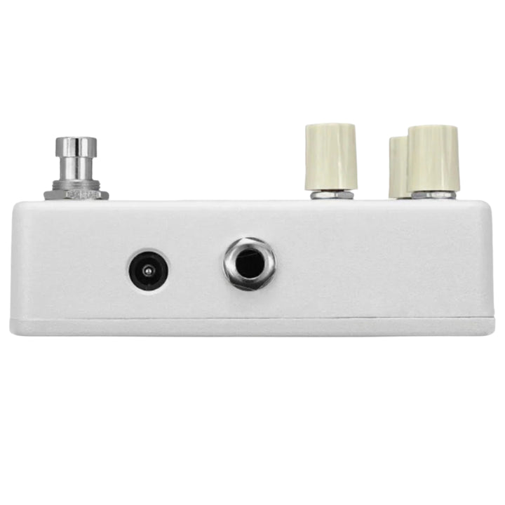 Animals Pedal Rust Rod Fuzz  1