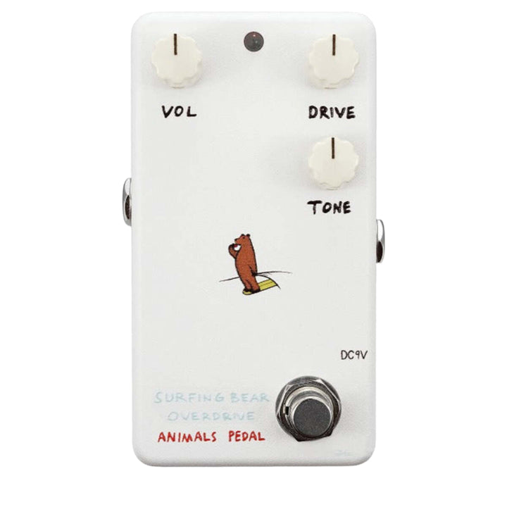 Animals Pedal Surfing Bear Overdrive 