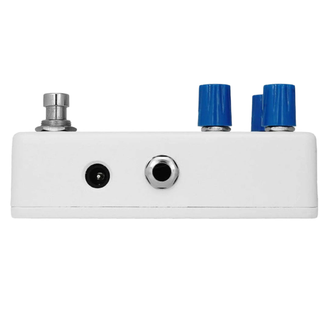 Animals Pedal SURFING POLAR BEAR BASS  1