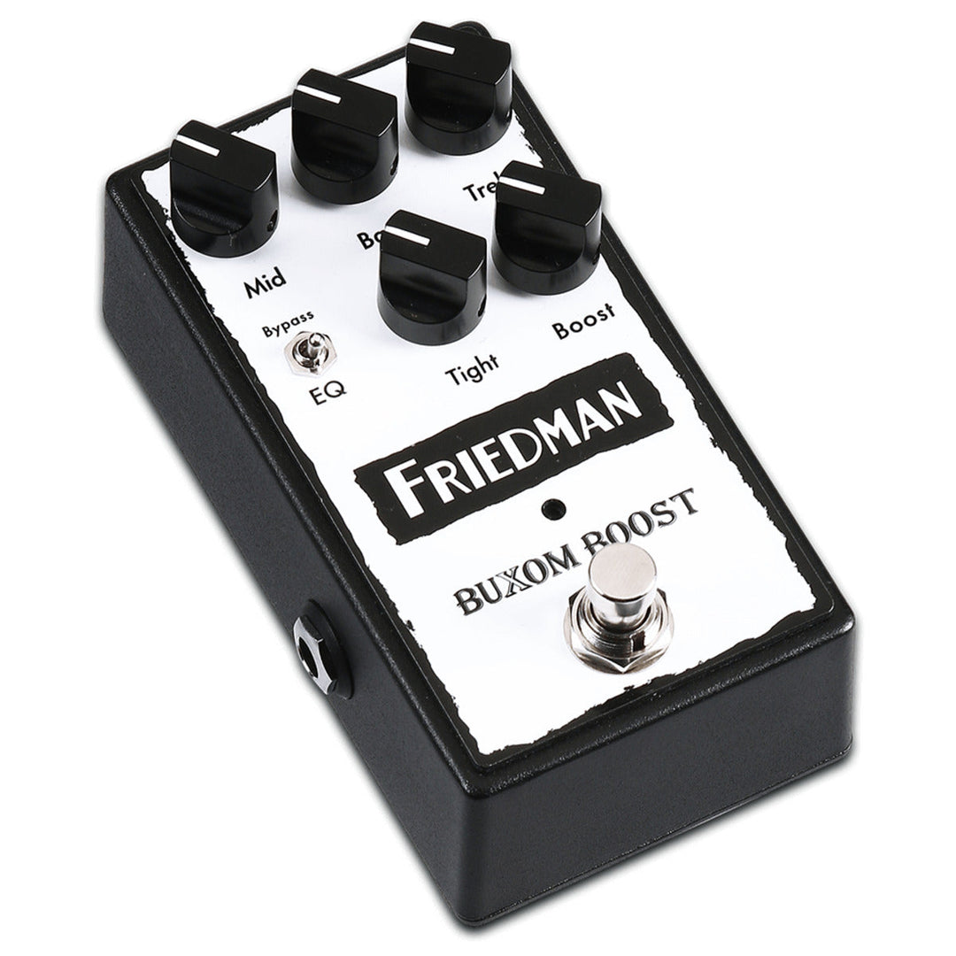 Friedman Buxom Boost  2