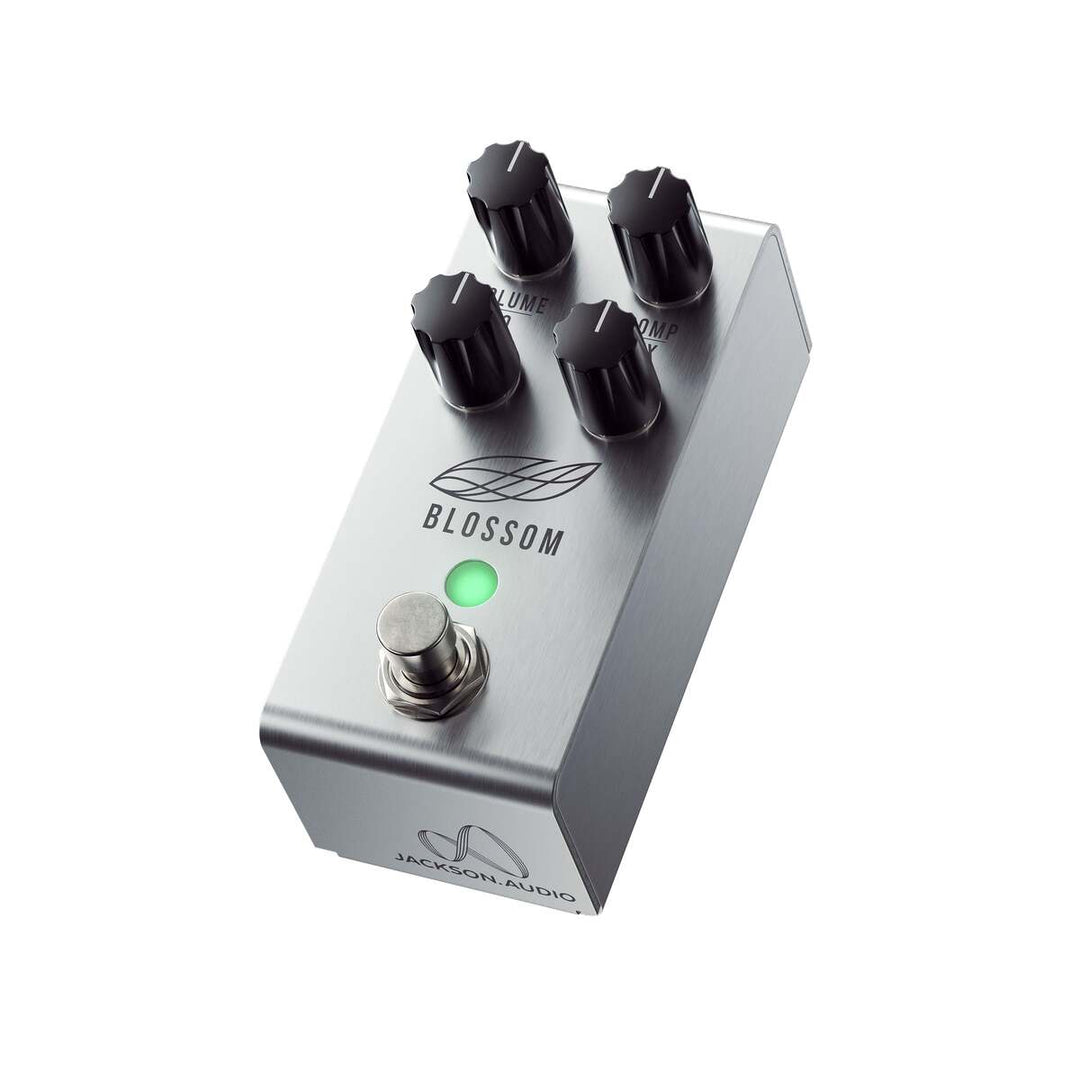 Jackson Audio Blossom 1