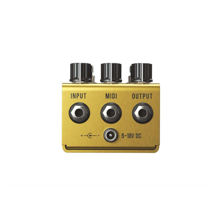 Jackson Audio Golden Boy Joey Landreth GOLD 2