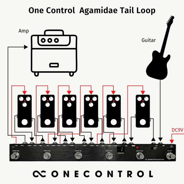 One Control Agamidae Tail Loop  6