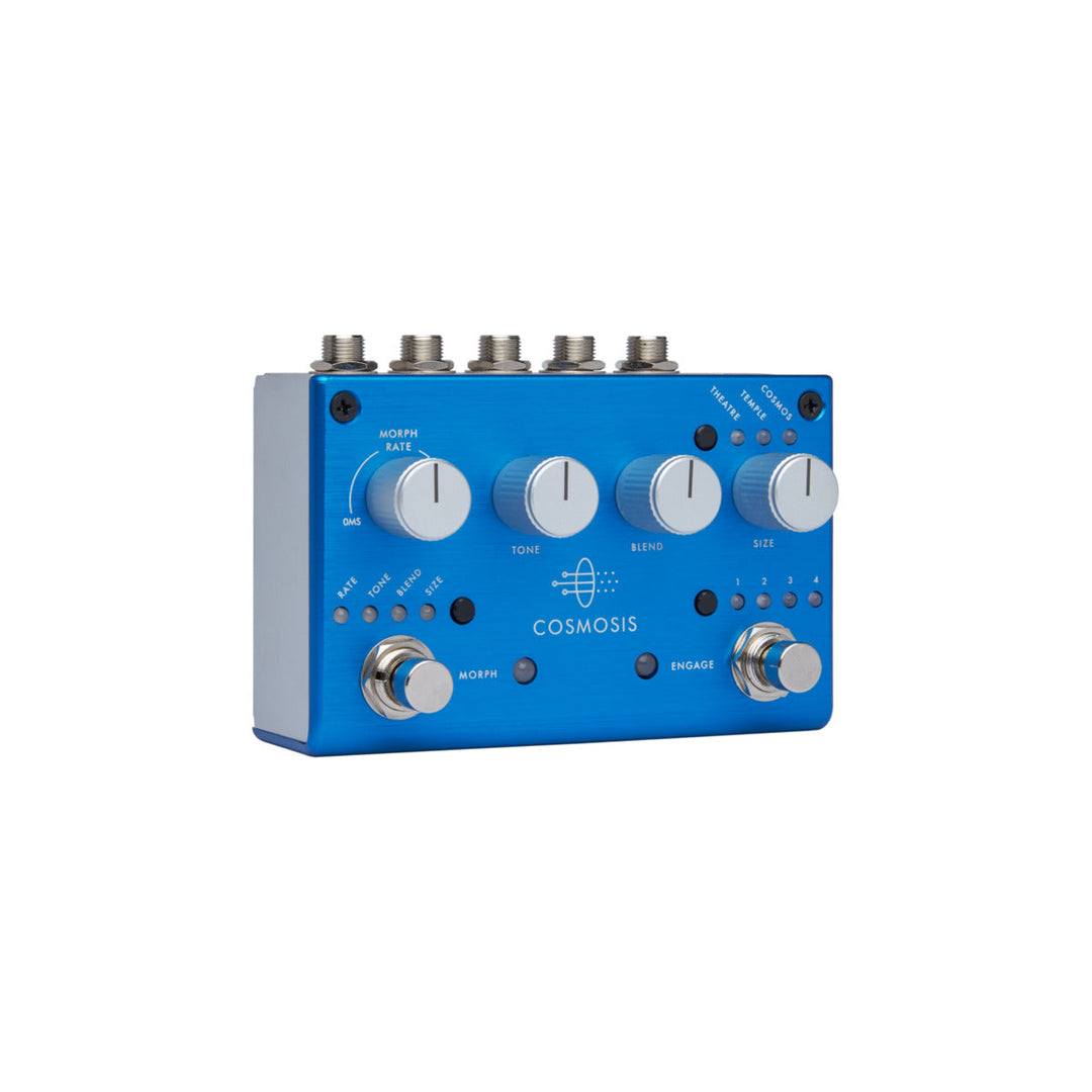 PIGTRONIX COSMOSIS  1