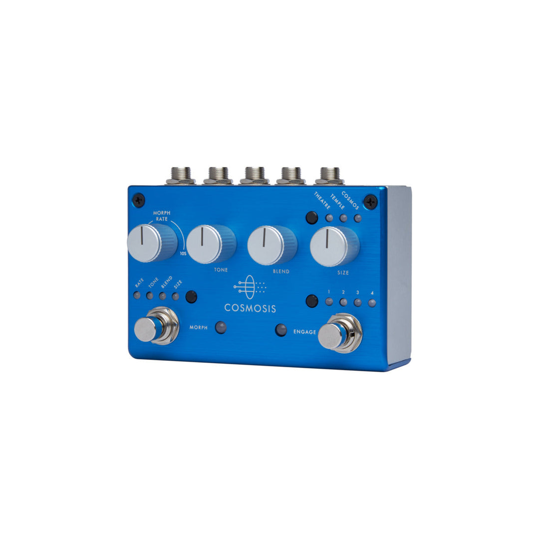 PIGTRONIX COSMOSIS  2