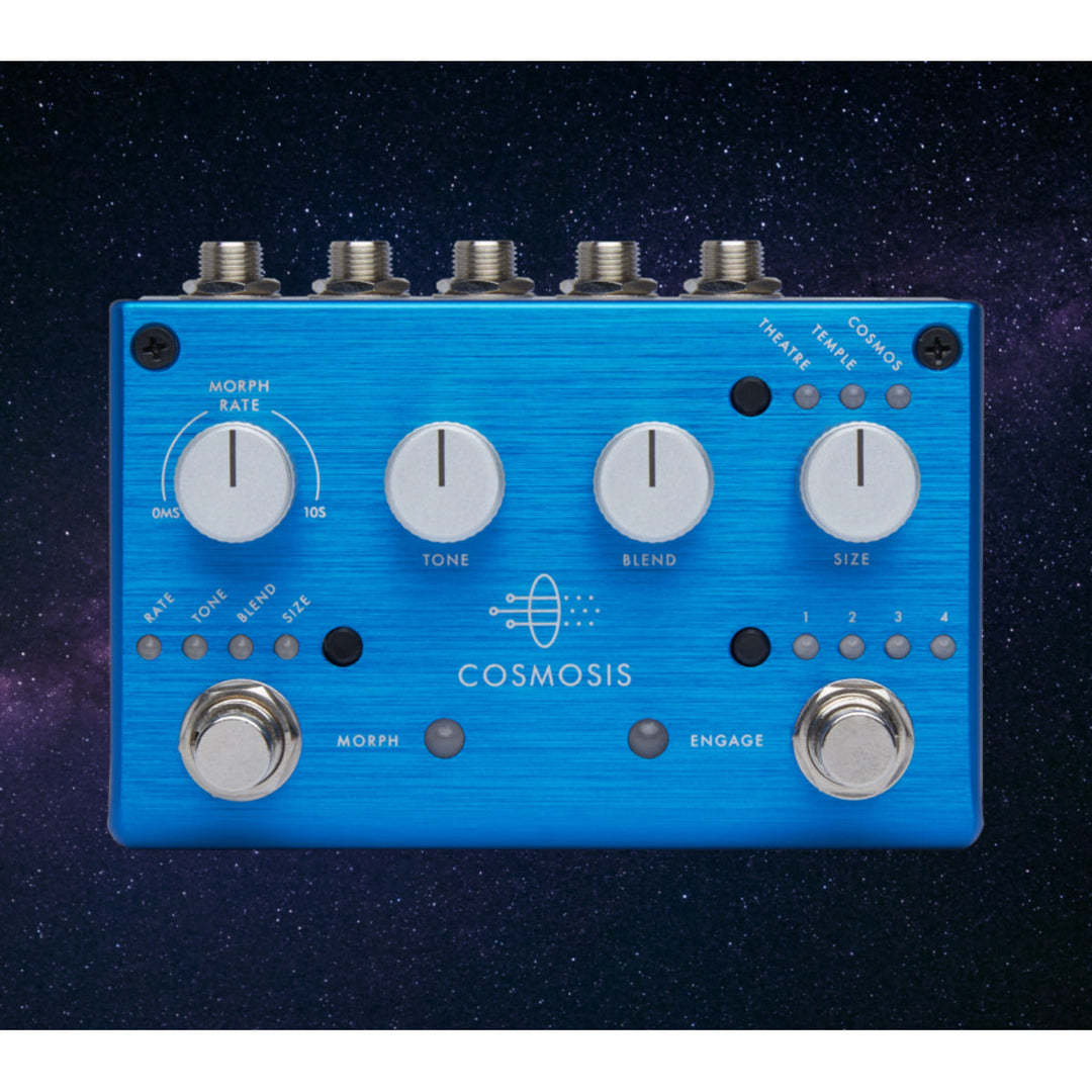 PIGTRONIX COSMOSIS  5