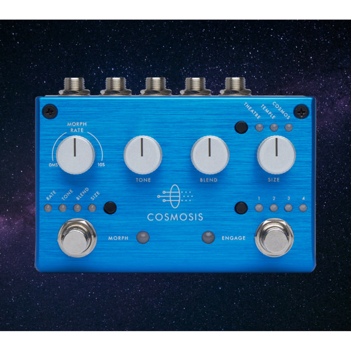PIGTRONIX COSMOSIS  5