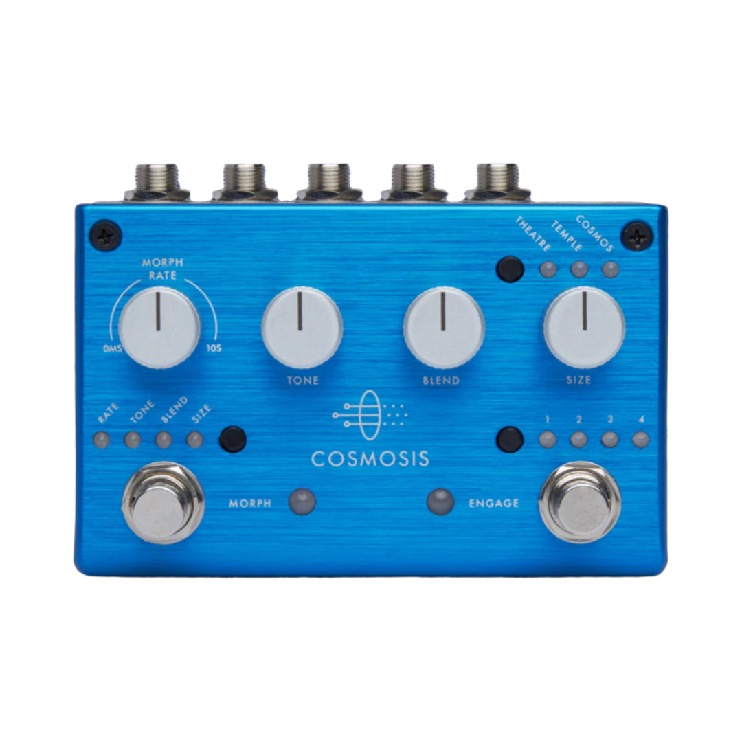 PIGTRONIX COSMOSIS  5