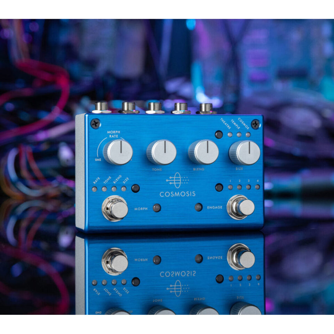 PIGTRONIX COSMOSIS  6