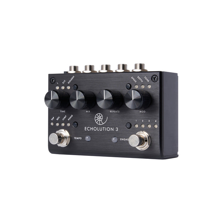 PIGTRONIX ECHOLUTION 3  1