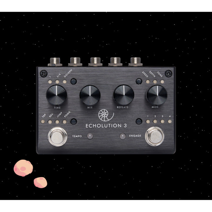 PIGTRONIX ECHOLUTION 3  5