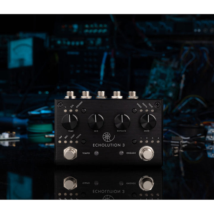 PIGTRONIX ECHOLUTION 3  6