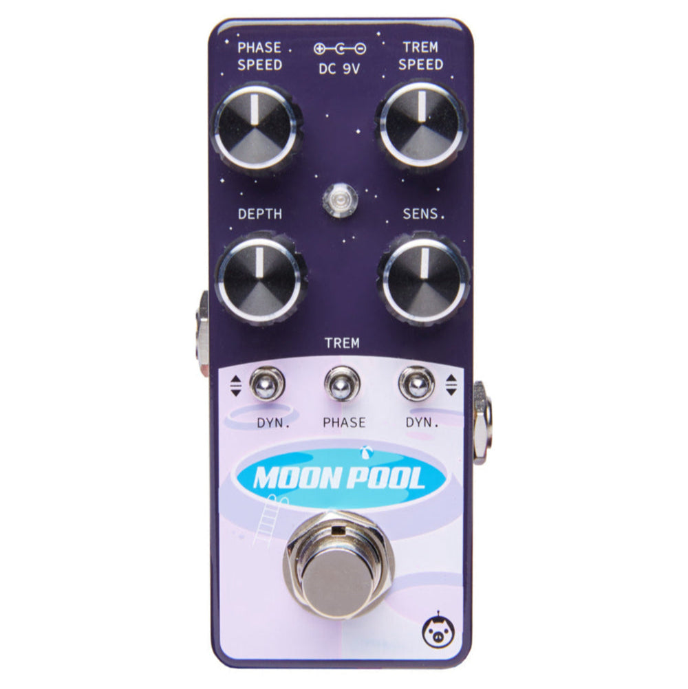 PIGTRONIX MOON POOL  1
