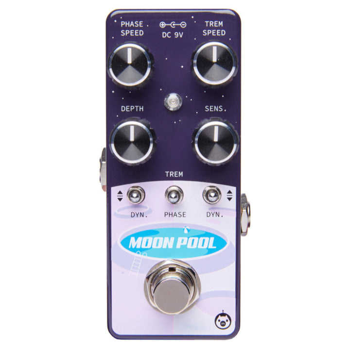 PIGTRONIX MOON POOL  1