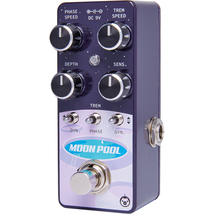 PIGTRONIX MOON POOL  2