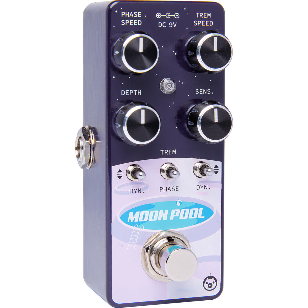 PIGTRONIX MOON POOL 