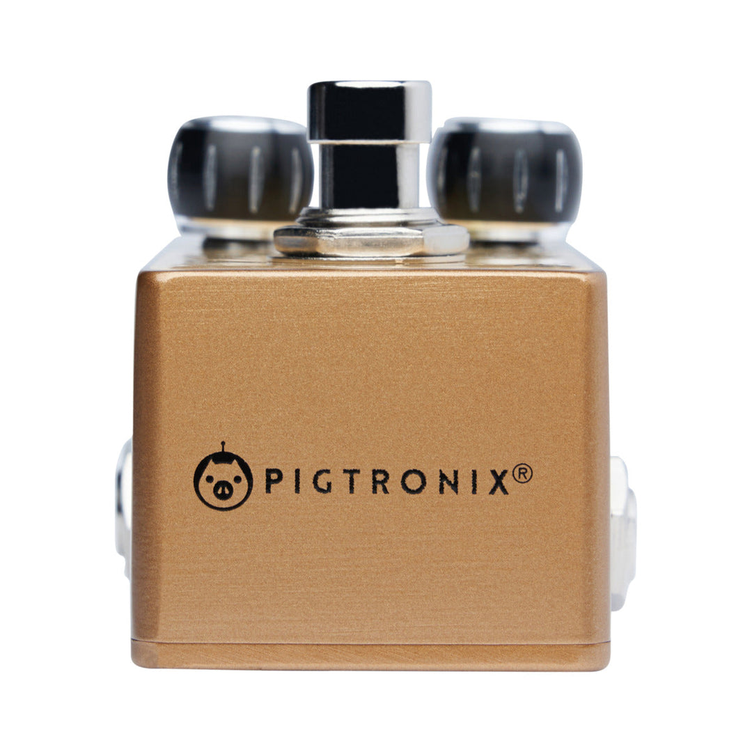 PIGTRONIX PHILOSOPHER'S GOLD  5