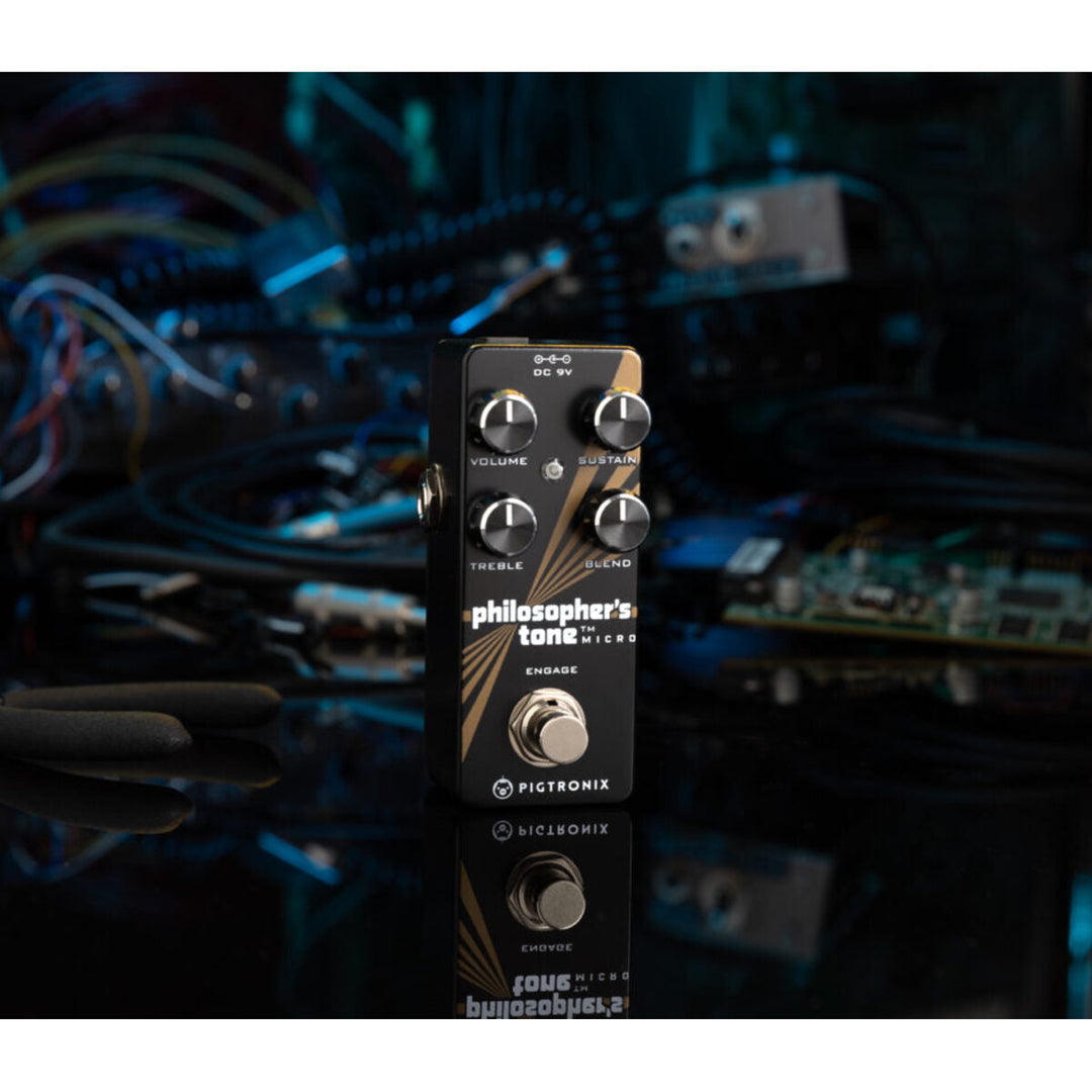 PIGTRONIX PHILOSOPHER'S TONE  6
