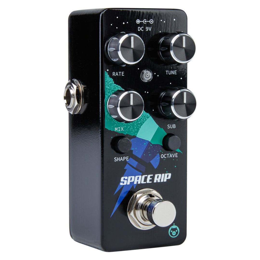 PIGTRONIX SPACE RIP  1