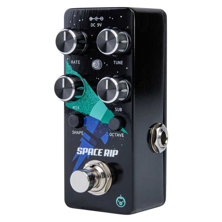 PIGTRONIX SPACE RIP  2