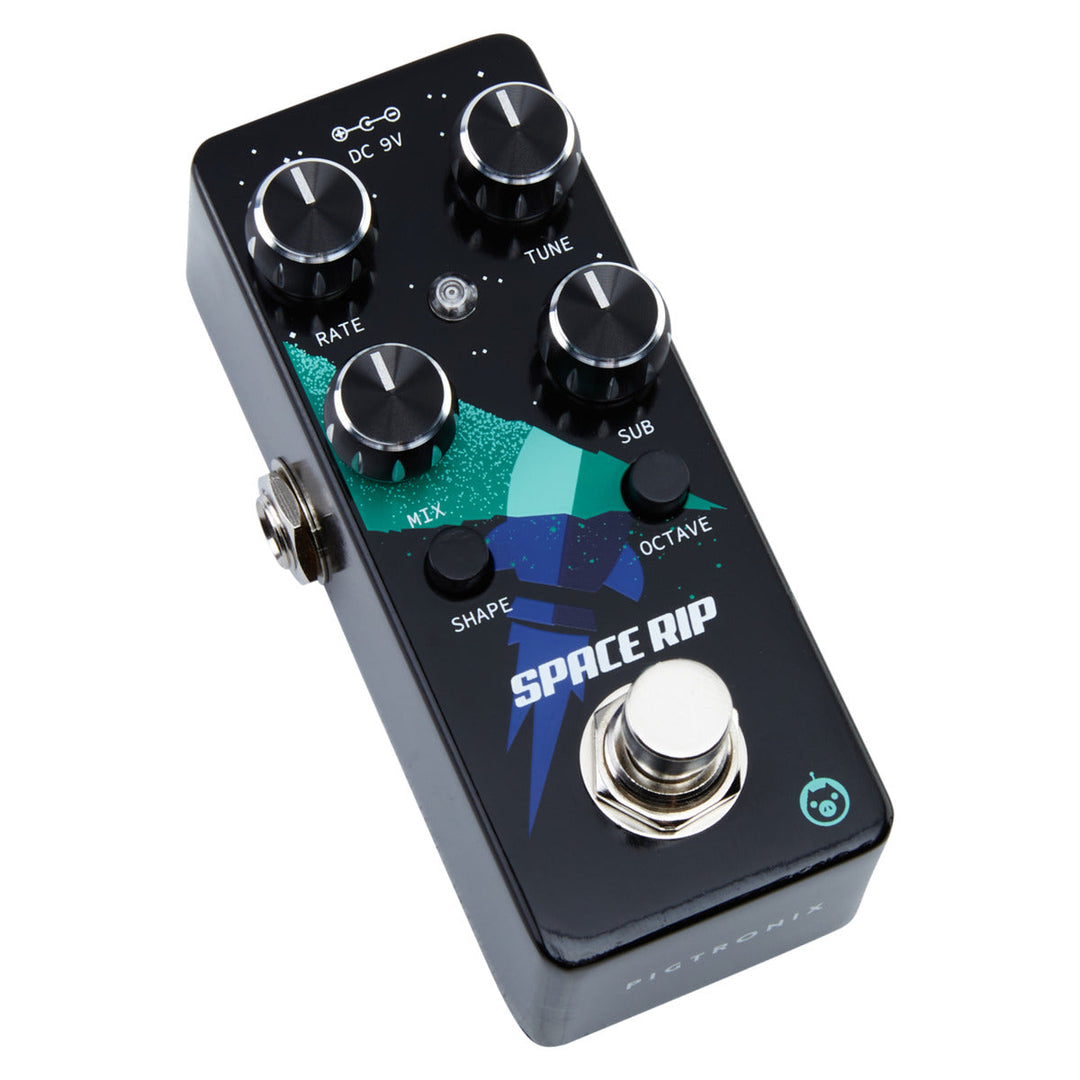 PIGTRONIX SPACE RIP  3