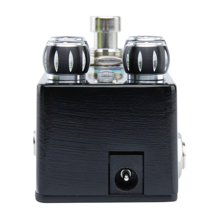 PIGTRONIX SPACE RIP  4