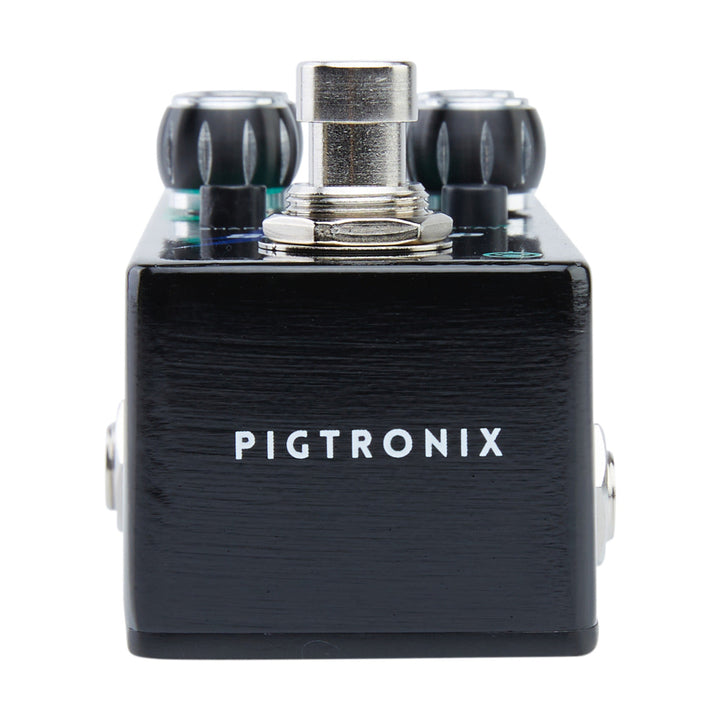 PIGTRONIX SPACE RIP  5