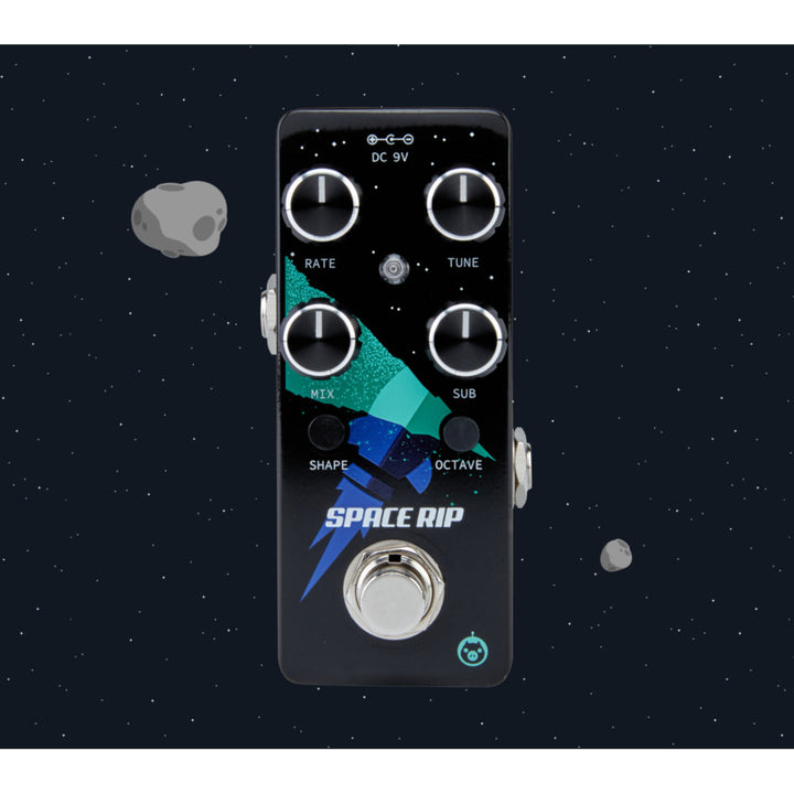 PIGTRONIX SPACE RIP  6
