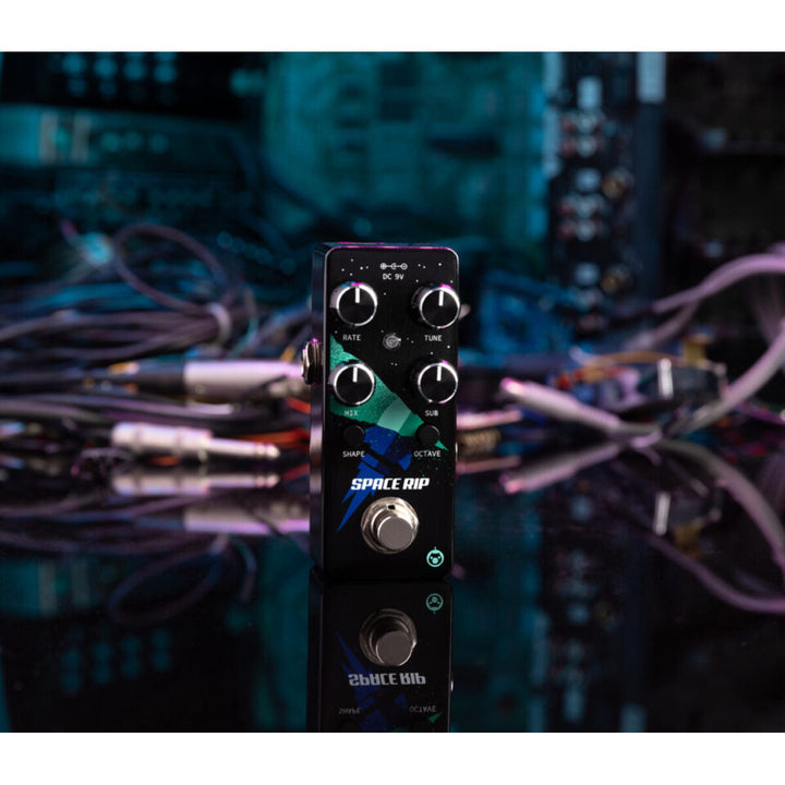 PIGTRONIX SPACE RIP  7