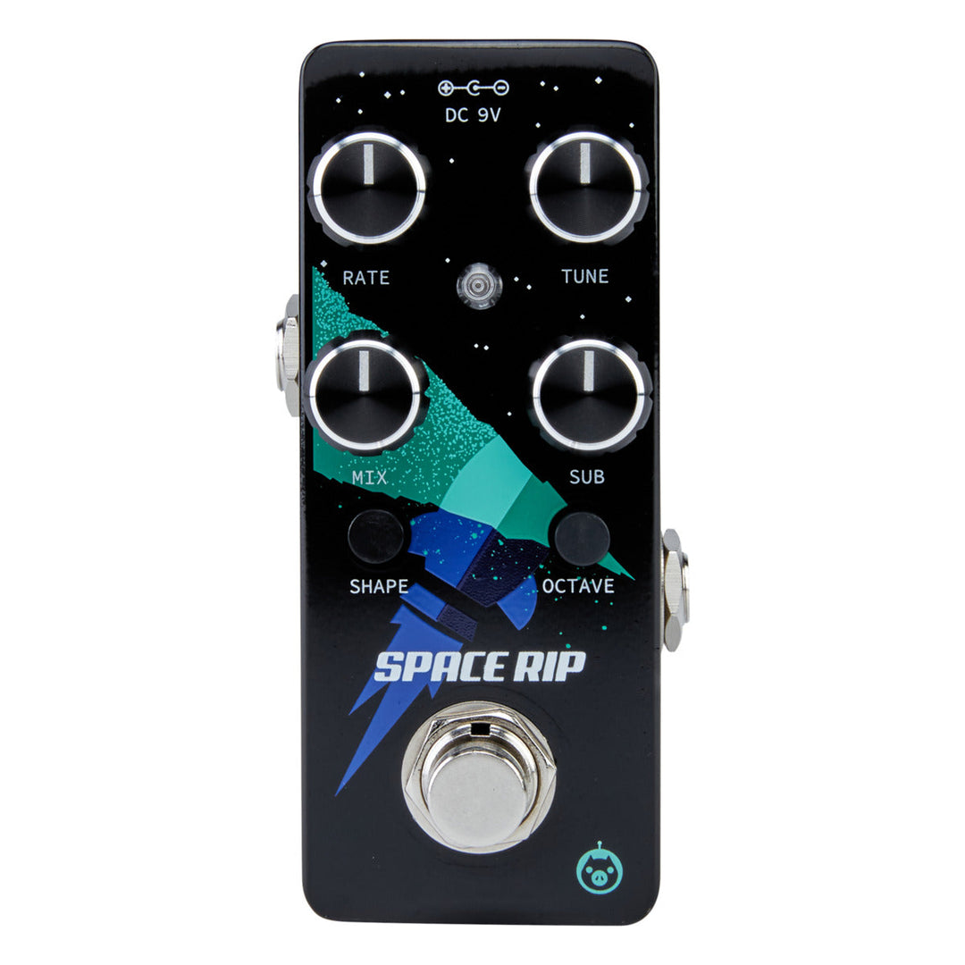 PIGTRONIX SPACE RIP 