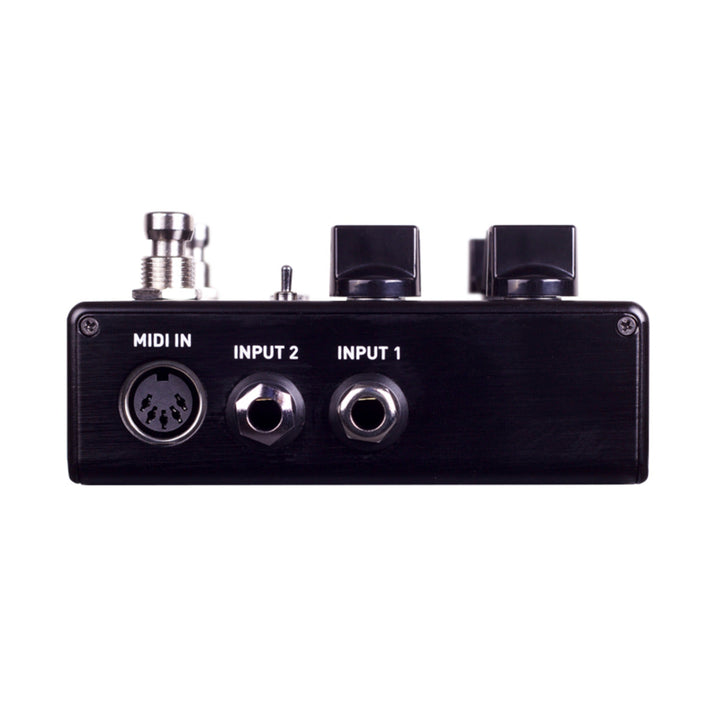 Source Audio Nemesis ADT Delay Pedal w/analog dry path  1