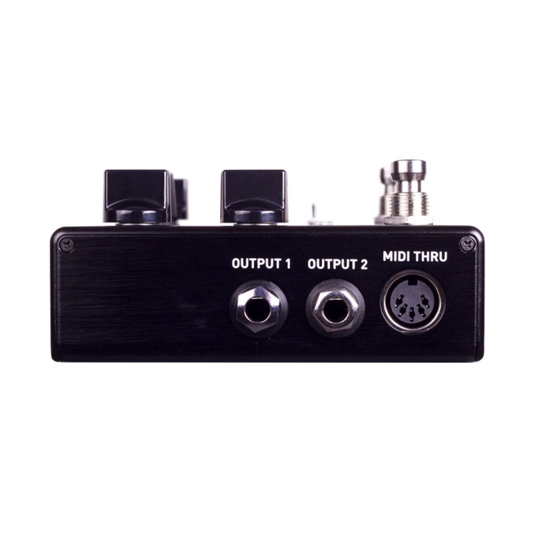 Source Audio Nemesis ADT Delay Pedal w/analog dry path  2