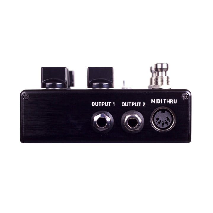 Source Audio Nemesis ADT Delay Pedal w/analog dry path  2