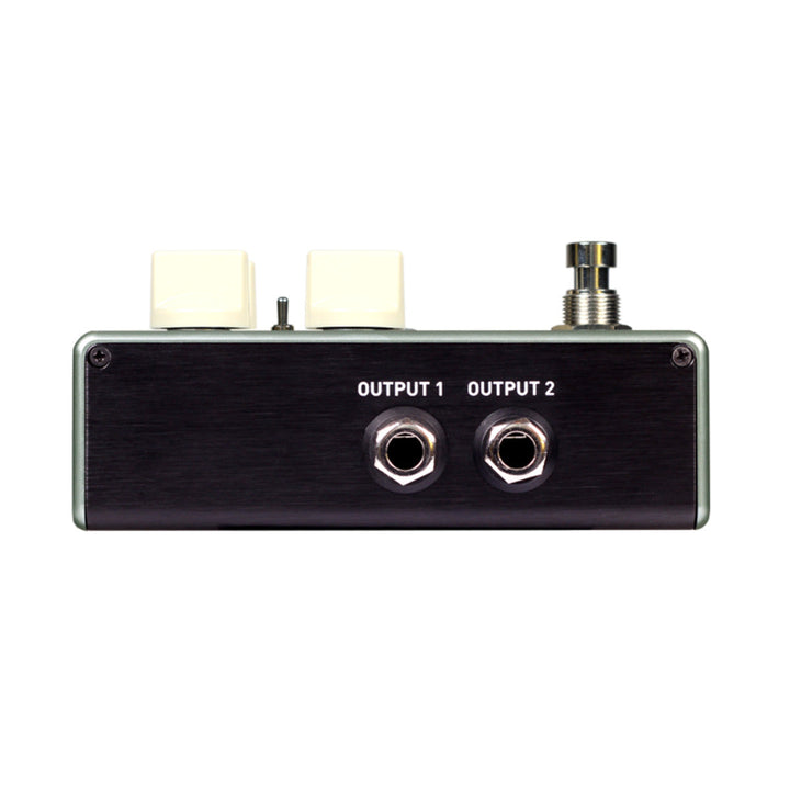Source Audio True Spring Reverb Pedal + Tap Tempo Switch  4