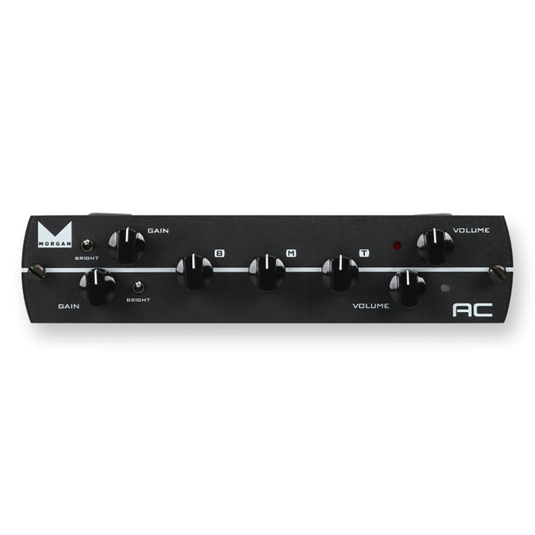 Synergy Morgan AC Preamp Module  1