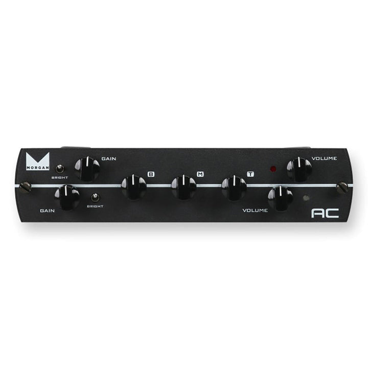 Synergy Morgan AC Preamp Module  1
