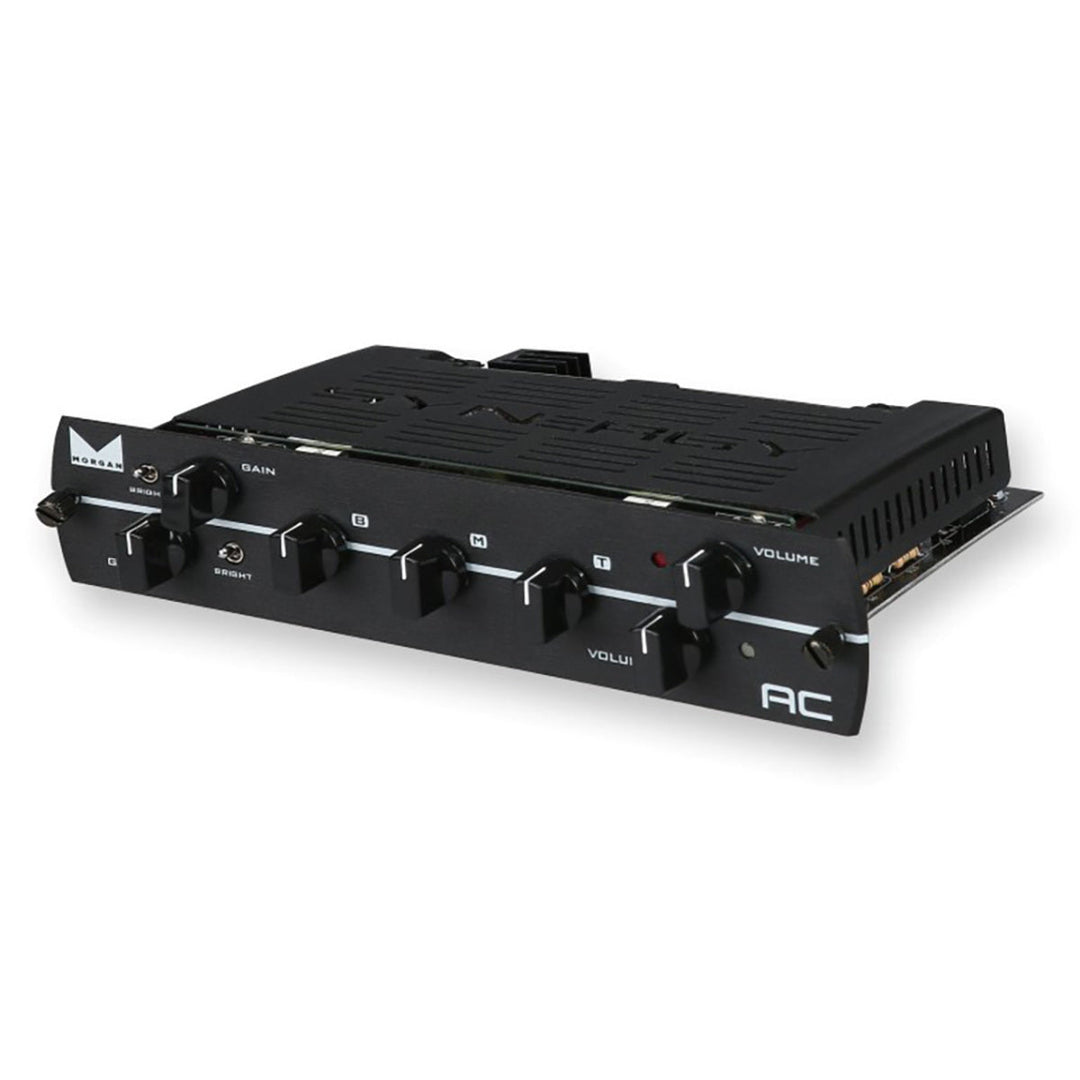 Synergy Morgan AC Preamp Module 